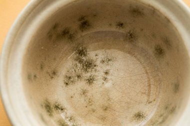 Yemek kasesindeki küf.