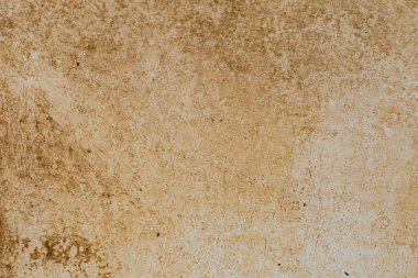 Moss and Water Stains on Concrete Wall