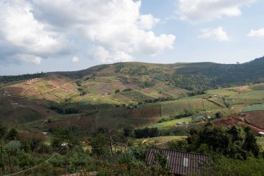 Ban Rong Kla Köyü, Phitsanulok, Tayland Tarım Sahası