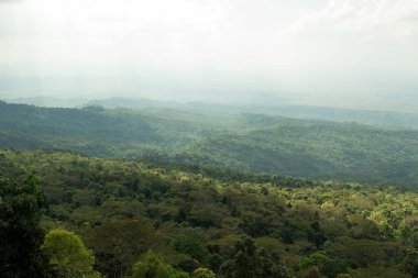 Bereketli Tropikal Yağmur Ormanları Ekosistem Çevre Konsepti, Tayland