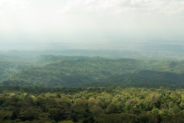 Bereketli Tropikal Yağmur Ormanları Ekosistem Çevre Konsepti, Tayland