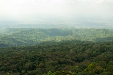 Bereketli Tropikal Yağmur Ormanları Ekosistem Çevre Konsepti, Tayland