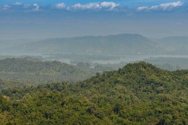 Bereketli Tropikal Yağmur Ormanları Ekosistem Çevre Konsepti, Tayland