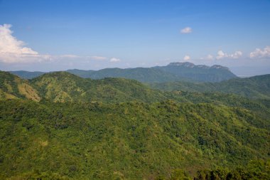 Yüksek dağlardaki yağmur ormanları Khao Kho, Phetchabun, Tayland