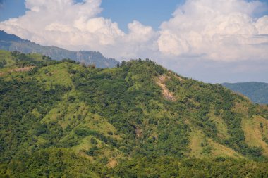 Yüksek dağlardaki yağmur ormanları Khao Kho, Phetchabun, Tayland