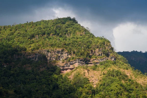 Yüksek dağlardaki yağmur ormanları Khao Kho, Phetchabun, Tayland