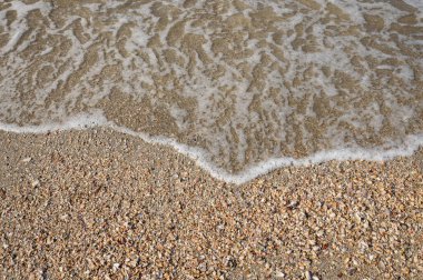 Kum Sahili 'ndeki Fosil Kabuğu, Satun, Tayland