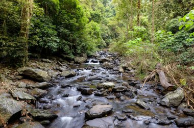 Pa La-U Şelalesi, Tayland 'daki Kaeng Krachan Ulusal Parkı' ndaki Ormanın derinliklerindeki Güzel Şelale.