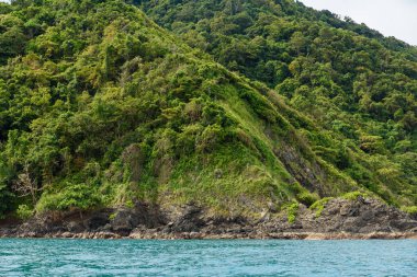 Güzel Berrak Turkuaz Su Manzarası Mercan Adası (Koh Hae), Phuket, Tayland