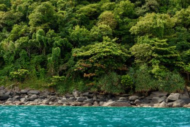 Güzel Berrak Turkuaz Su Manzarası Mercan Adası (Koh Hae), Phuket, Tayland