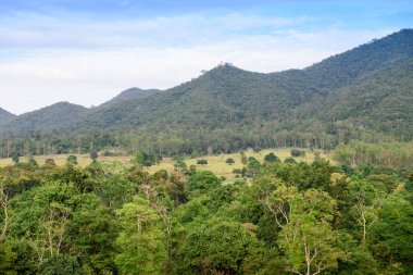 Kui Buri Ulusal Parkı 'nda bereketli bir yaban hayatı olan yemyeşil tropikal yağmur ormanları, Tayland, Khiri Han, Prachuap