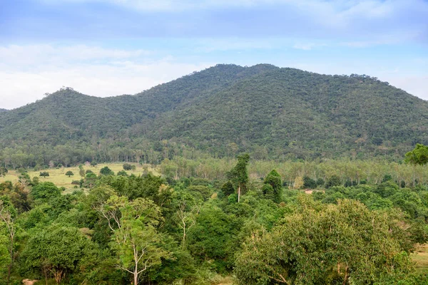 Kui Buri Ulusal Parkı 'nda bereketli bir yaban hayatı olan yemyeşil tropikal yağmur ormanları, Tayland, Khiri Han, Prachuap