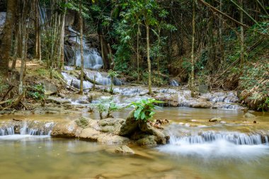 Pha Tad Şelalesi Srinakarin Baraj Ulusal Parkı, Kanchanaburi, Tayland
