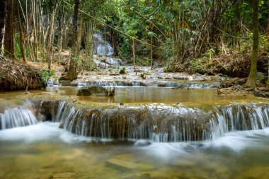 Pha Tad Şelalesi Srinakarin Baraj Ulusal Parkı, Kanchanaburi, Tayland