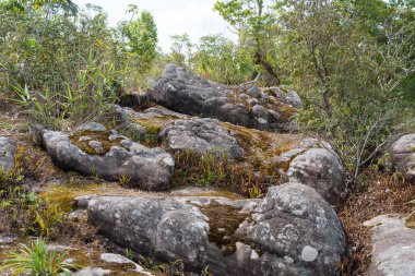 Lan Hin Pum Phu Hin Rong Kla Milli Parkı, Phitsanulok, Tayland
