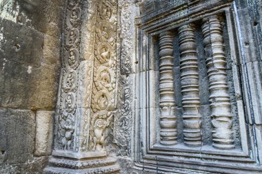 Siem Reap, Kamboçya 'daki Ta Prohm Tapınağı' ndaki dinozora benzeyen taş oyma..