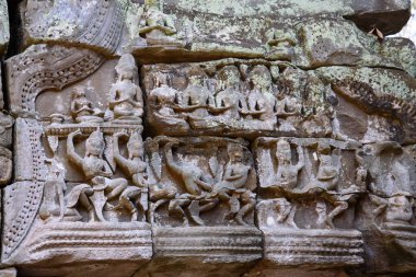 Ta Prohm Tapınağı, Siem Reap, Kamboçya 'da Angkor dönemi sembolik bir tapınak, antik taş kalıntılarıyla sarmalanmış dev ağaç kökleri ile ünlüdür..