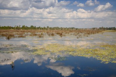 Neak Pean Tapınağı, Siem Reap, Kamboçya yakınlarındaki Jayataka Kuzey Baray 'da güzel bir günbatımı..
