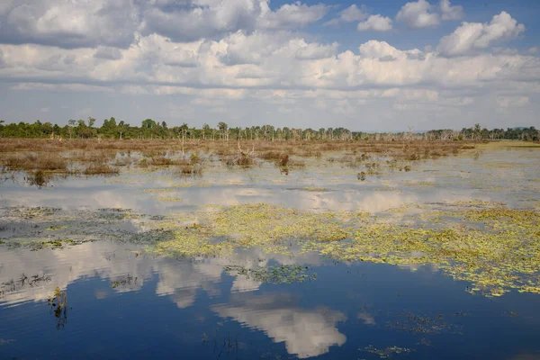 Neak Pean Tapınağı, Siem Reap, Kamboçya yakınlarındaki Jayataka Kuzey Baray 'da güzel bir günbatımı..