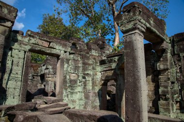 Angkor 'daki Preah Khan Tapınağı, Siem Reap, Kamboçya, 12. yüzyılda Kral 7. Jayavarman tarafından babasının anısına inşa edildi..