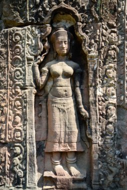 Preah Khan Tapınağı 'ndaki güzel Apsara Bas-Relief, Angkor, Siem Reap, Kamboçya