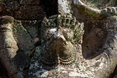 Garuda Preah Khan Tapınağı 'nda Naga' yı zapt ediyor, Siem Reap, Kamboçya.