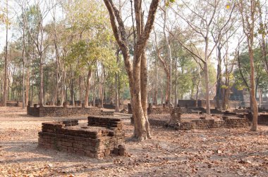 Wat Avasa Yai Kamphaeng Phet Tarihi Parkı, Tayland