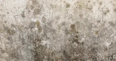 Yıpranmış, pürüzlü beton bir duvarın yakın çekim görüntüleri. Lekeler, çatlaklar ve kentsel bozulma izleri var..