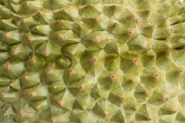 Bu tropikal meyvenin dikenli dokusunu gösteren durian kabuğunun yakın çekimi, taze ve detaylı yüzey, yiyecek veya tropikal meyve betimlemesi için ideal.