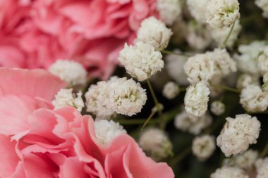 Pembe Karanfil ve Beyaz Çinga Çiçeği 'nin Doğal Işıkta, Parlak ve Neşeli Kutlamalar İçin Yakın Çekimi