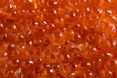 Canlı turuncu incileri ve parlak dokuları olan taze somon yumurtası (ikura veya somon havyarı), suşi, Japon mutfağı ve özel deniz ürünleri kavramları için idealdir..