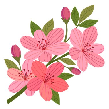 sakura çiçek dekorasyonu düz stil