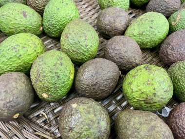 Canlı yeşil ve koyu kahverengi deri dokularının dokuma sepetinde bir araya getirildiği çeşitli avokadoların yakın çekimi.