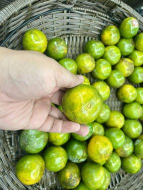 El, yeşil ve sarı turunçgillerden oluşan ve dokuma sepetinin arka planında bulunan taze bir organik mandalina veya mandalina seçer
