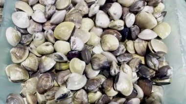 Piyasada yığılmış pürüzsüz sert istiridyelerin çeşitliliği