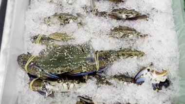 Taze mavi yüzücü yengeçler pazarda ezilmiş buz üzerinde sergilenir.