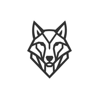 Kurt Vektörü Gölgesi İzi