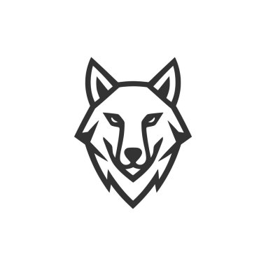 Kurt Vektörü Fırtına Aura