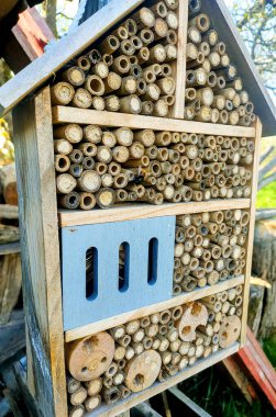 Bahçedeki böcek oteli.