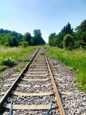 Ormanda demiryolu rayları