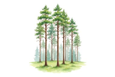 Çam ağacı orman çizgi film vektör çizimi tasarımı
