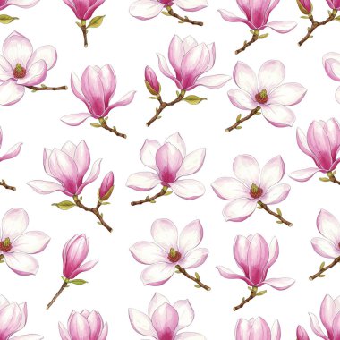 Beyaz arka planda pembe manolya çiçeklerinin zarif, pürüzsüz deseni. Tekstil, duvar kâğıtları ve hediye paketi için mükemmel. Zarif ve zamansız dekoru olan zarif bir çiçek tasarımı..
