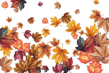 Mevsimsel tasarımlar, davetiyeler ve dekorasyonlar için mükemmel olan çeşitli renk ve şekillerde sonbahar yapraklarının güzel bir çizimi. Sonbaharın özünü canlı ve detaylı yaprak kalıplarıyla yakalar..
