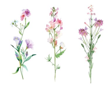 İçinde BlueBell ve karışık buket bulunan enfes çiçek desenleri. Canlı ve narin bir botanik sanat eseri, dekorasyon, doğa severler ve zarafet ve cazibe arayan sanatsal projeler için ideal..