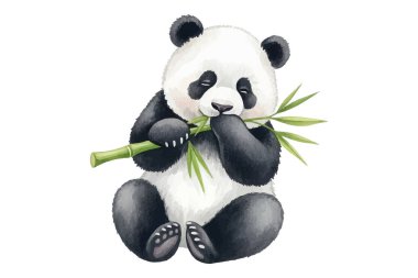Tatlı pandaların oturup bambu yediğinin çok güzel bir örneği. Çocuk kitapları, çocuk dekorasyonu, tebrik kartları ya da hayvan temalı tasarımlar için mükemmel. Yüksek kalite, elle boyanmış..