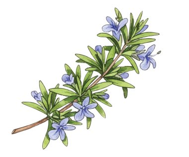 Altın buğday kulaklarının çizimi. Ayrıntılı ve doğal tasarım tarım temaları, gıda ambalajları, fırın etiketleri, hasat festivali dekorları, organik ürünler, posterler ve kırsal sanat eserleri için mükemmeldir..