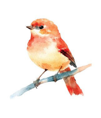 Daldaki suluboya kuş