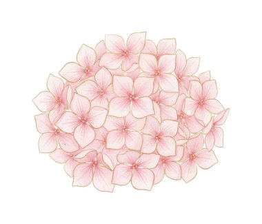 Pembe bir suluboya çiçeğinin arka planında suluboya çiçekler.