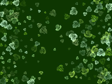 Akçaağaç güz yaprakları, beyaz arka planda izole. Ekoloji Tasarımı, Doğa Elementleri.