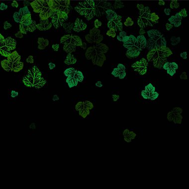 Sonbahar yaprakları beyaz arka planda izole. Yeşillik Ortamı Arkaplanı.